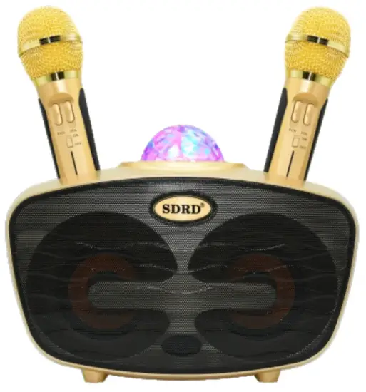 SDRD SD 315 Karaoke Speaker