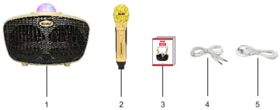 SDRD SD 315 Karaoke Speaker - fig1