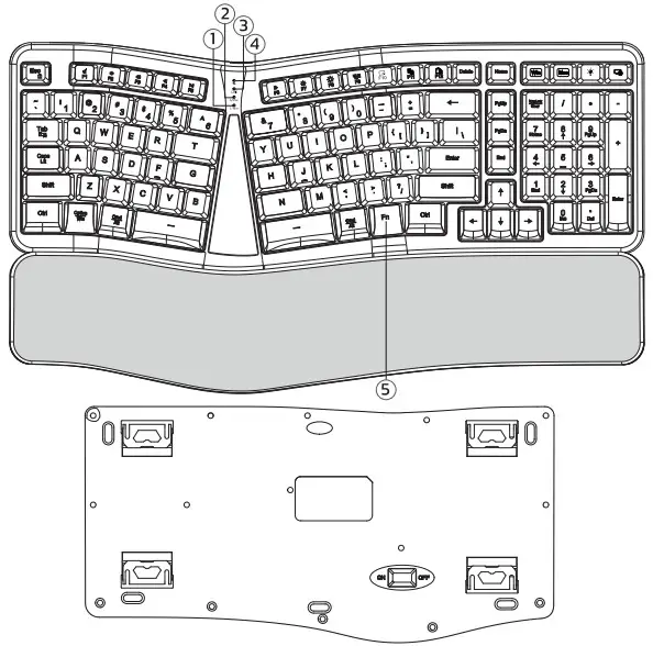 ADESSO RT02 C2 Ergonomic Illuminated Keyboard - Hadwarer Basics