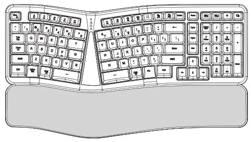 ADESSO RT02 C2 Ergonomic Illuminated Keyboard