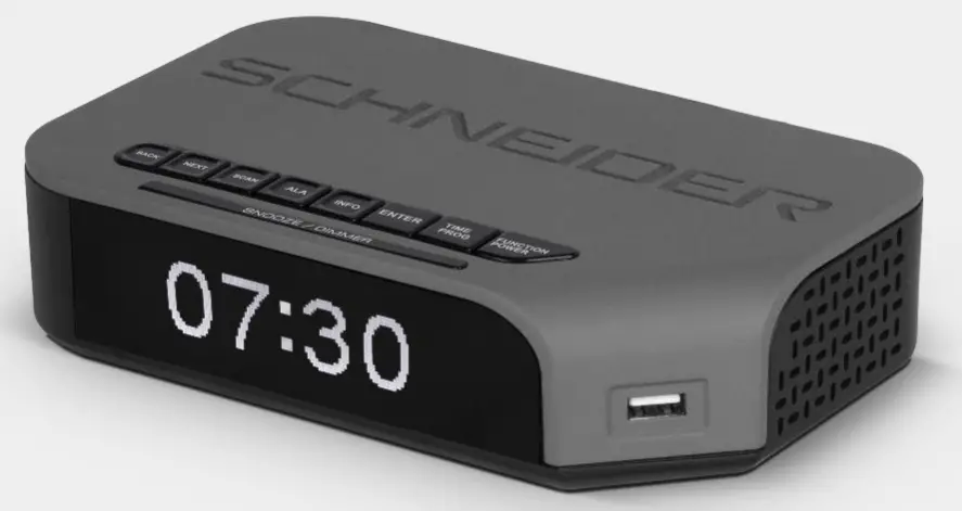 schneider SC320ACLGRY Portable FM Radio Player