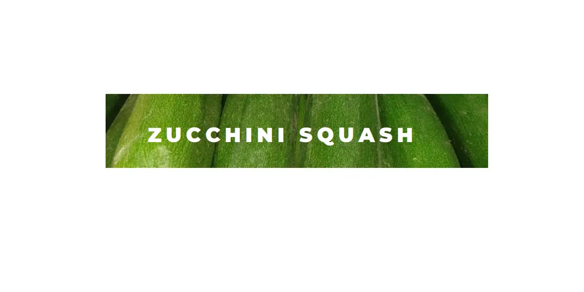 748179040808 4 Inch Green Zucchini Squash Plant User Manual