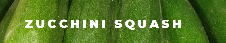 Zucchini Squash