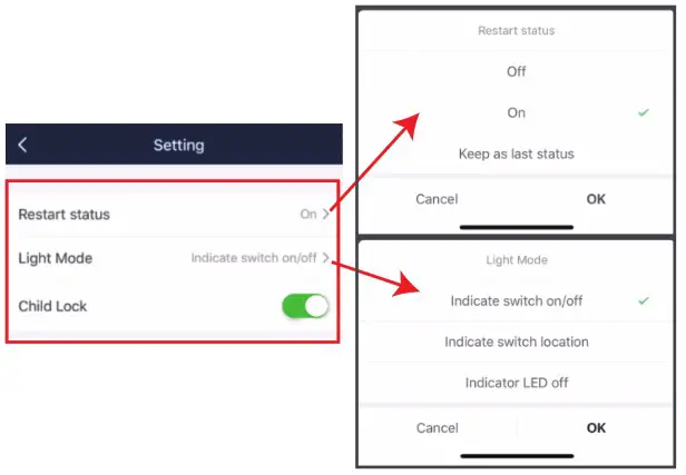 Minoston MP22W WiFi Outdoor Smart Plug - SETTING 2