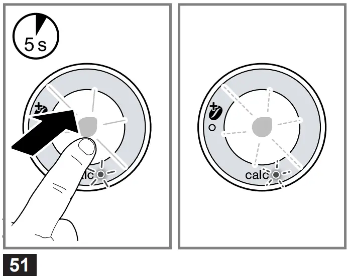 Descale the appliance