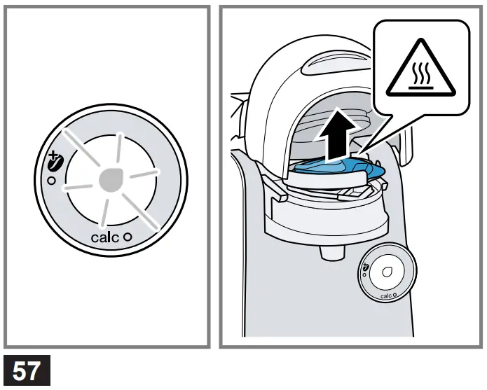 Descale the appliance
