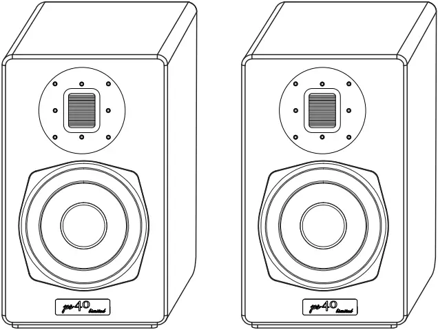 BLUE AURA ps40 limited Hi-Fi Speaker A01