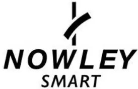 NOWLEY SMART LOGO
