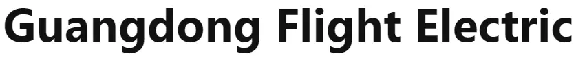 Guangdong-Flight-Electric-logo