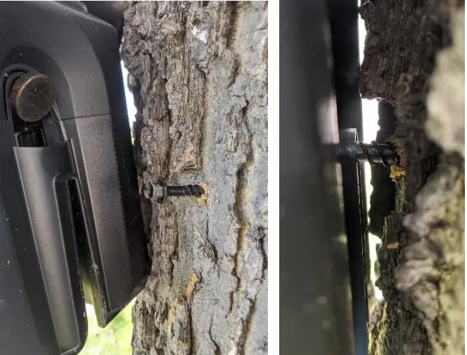 Mounting With Screws