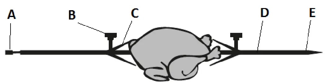 G3FERRARi G10154 ROSTO 58 Electric oven with Convection and Rotisserie - ROTISSERIE