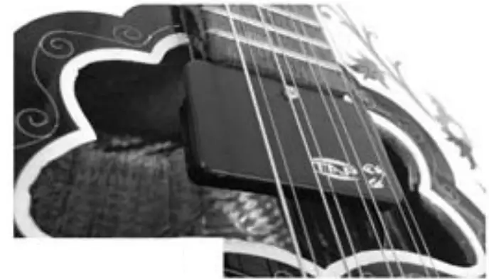 TAP BIRD Bouzouki Pickup