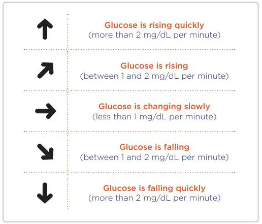 Abbott FreeStyle Libre CGM system-FIG14