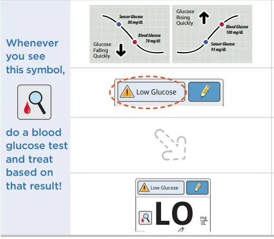 Abbott FreeStyle Libre CGM system-FIG19