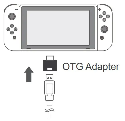 Connect with Switch Console
