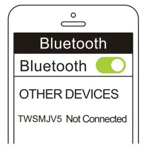TEAC TWSMJV5 True Wireless Earbuds - Connected