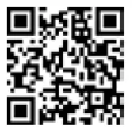 Qlima EFE2018 Electric Heater with Flame Effect - qr