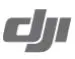 dji FPV Drone Combo with Motion Controller LOGO