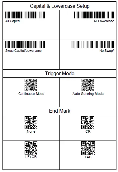 capital and lower case setup
