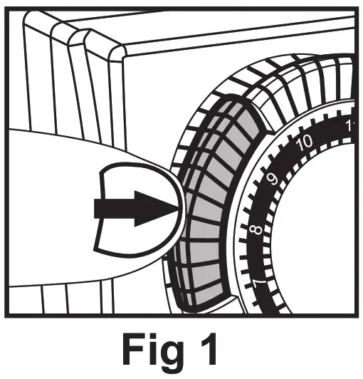 BN-LINK FD60 U2 24 Hour Mechanical Dual Outlet Timer - fig
