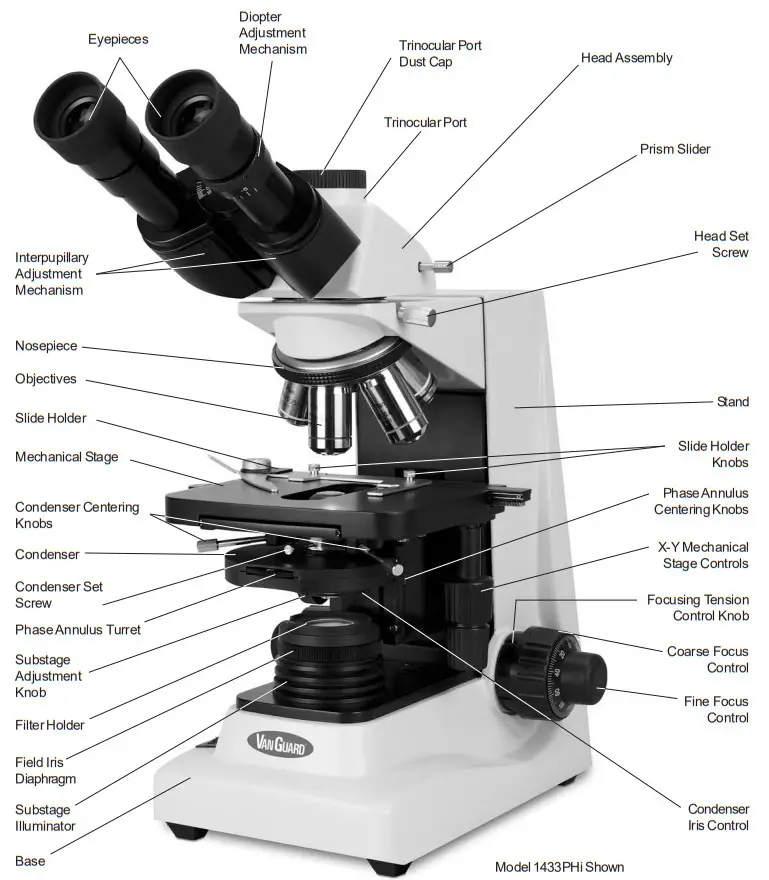 VANGUARD 1400i Microscopes - fIGURE