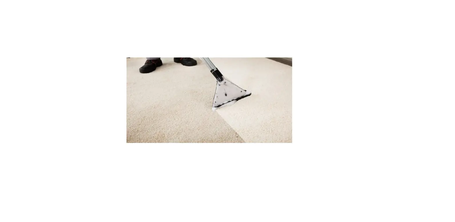 How To Deep Clean Your Carpets