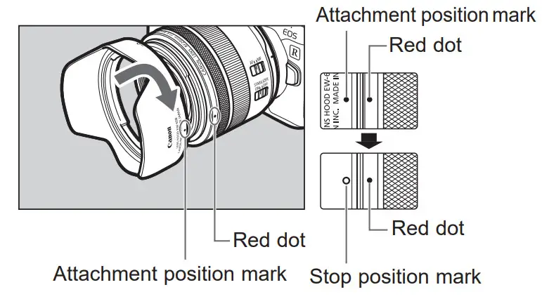 Canon RF 24mm F1.8 Macro IS STM Lens - Figure 8
