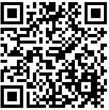 Mivv BMW F 900 R Stainless Steel Delta Race Black qr code