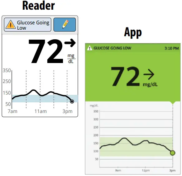 FreeStyle Libre FLASH GLUCOSE MONITORING - In the afternoon