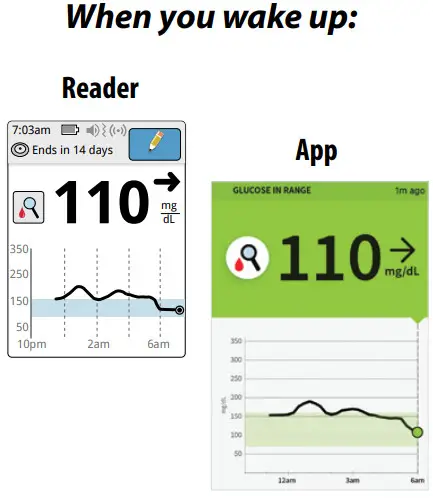 FreeStyle Libre FLASH GLUCOSE MONITORING -What you see