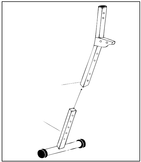 SportPlus SP SUB 001 W SIT UP BANK with 2 15 kg Dumbbels - FIGURE 2