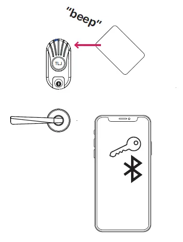 TLJ Identity Lock Set 4