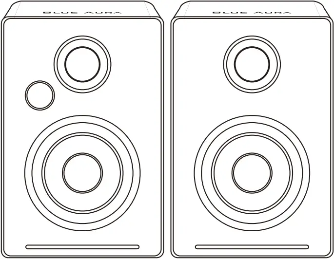 BLUE AURA WS30i Loudspeaker System