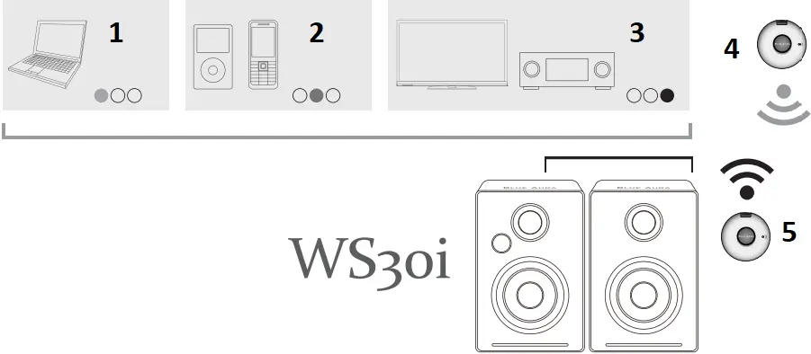 BLUE AURA WS30i - Wireless Transmitter & Receiver