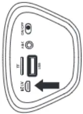 Speaker Micro USB Charging Port