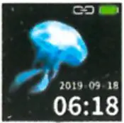 Bracelet function interface