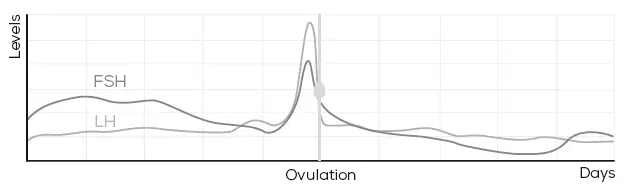 beurer OT 80 Personal Fertility Kit and App FIG 16