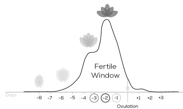beurer OT 80 Personal Fertility Kit and App FIG 17