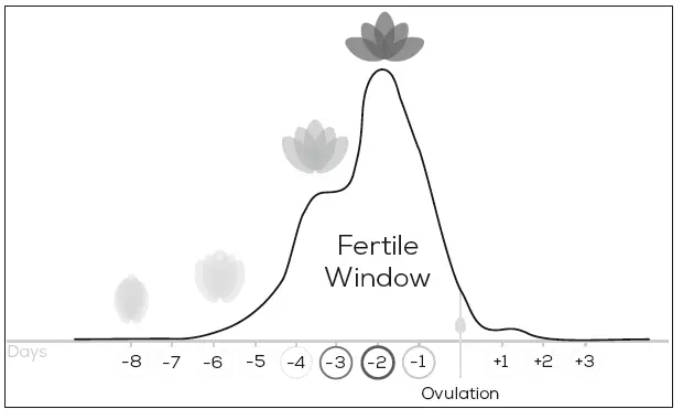 beurer OT 80 Personal Fertility Kit and App FIG 30