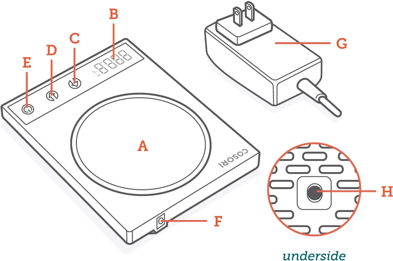 Know Your Coffee Warmer