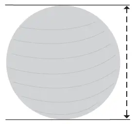 GAIAM-05-64258-No-Roll-Balance-Ball-fig-1