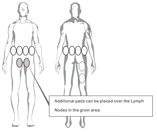 aaoCare-Lipo-Sculpt-Lite-Slimming-Fat-Burner-Machine-4