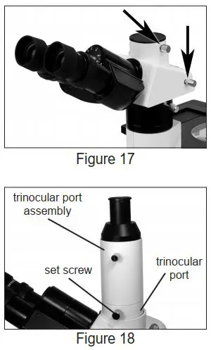 FIG 20 Trinocular Port.JPG