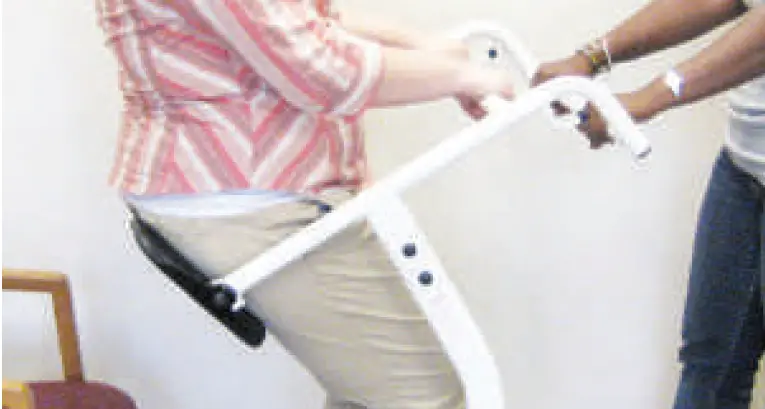 Alt-st200 Alerta Move Assist Instruction Manual Alt-st200 Alerta Move Assist Instruction Manual