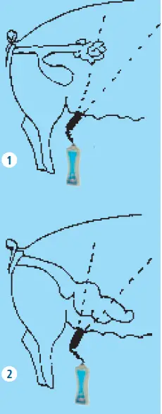 Rheintechnik-HKCATSCAN -HK Pregnancy-Tester-022