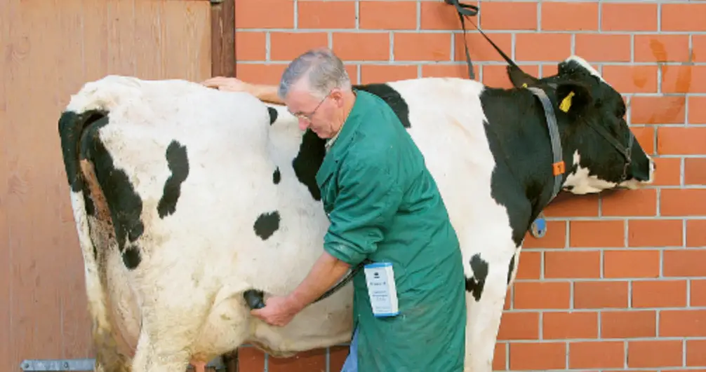 Rheintechnik Hkcatscan Hk Pregnancy Tester Instruction Manual