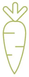 Carrot Icon