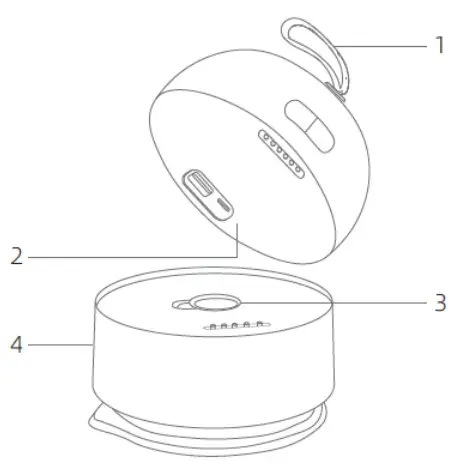 SHARPER IMAGE 207750 Portable Electric Iron - Electric Iron