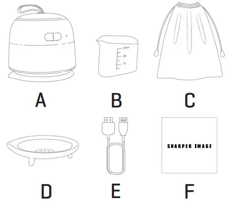 SHARPER IMAGE 207750 Portable Electric Iron - PACKAGE