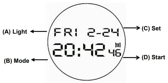 SKMEI 1206 Pradise Watch - fig 1